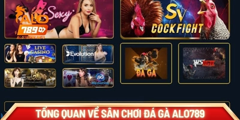 Tổng quan về sân chơi đá gà Alo789